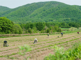 永續農業新模式！日本新創用三大技術打造循環農業，永續行動變交易點數，企業ESG回饋農民收入